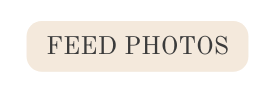 feed photos
